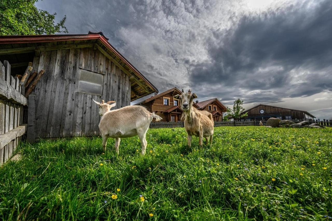 Villa Wenzlhof Zwiesel Esterno foto